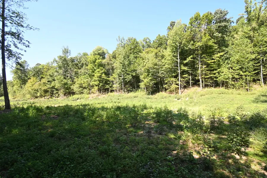 1928 Swindle Creek Rd, Linden, TN 37096 - #3