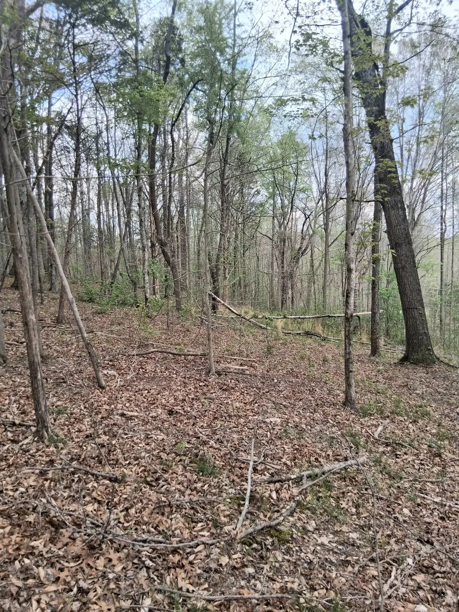 0 W Garrets Creek Rd, Westmoreland, TN 37186 - #2