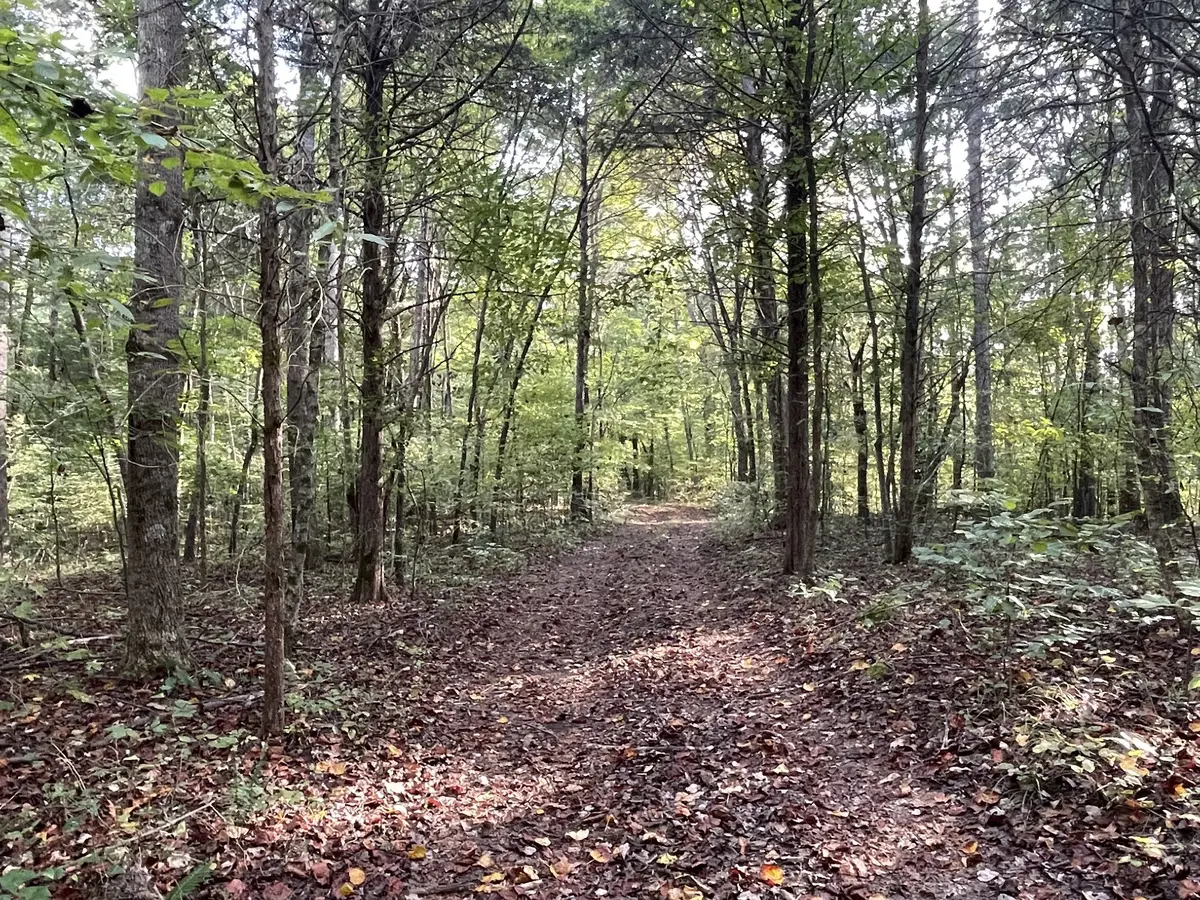 0 Waters Road, Centerville, TN 37033 - #1
