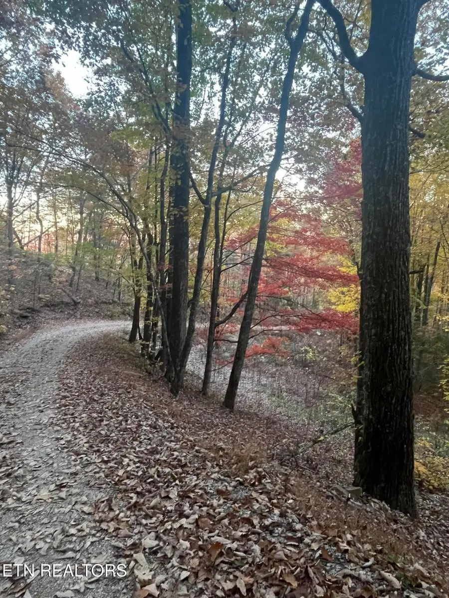 2742 Black Mountain Road, Tellico Plains, TN 37385 - #2