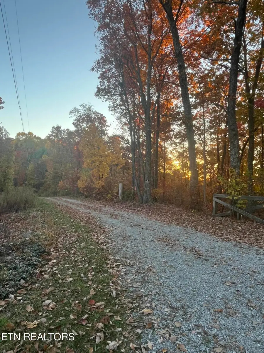 2742 Black Mountain Road, Tellico Plains, TN 37385 - #3