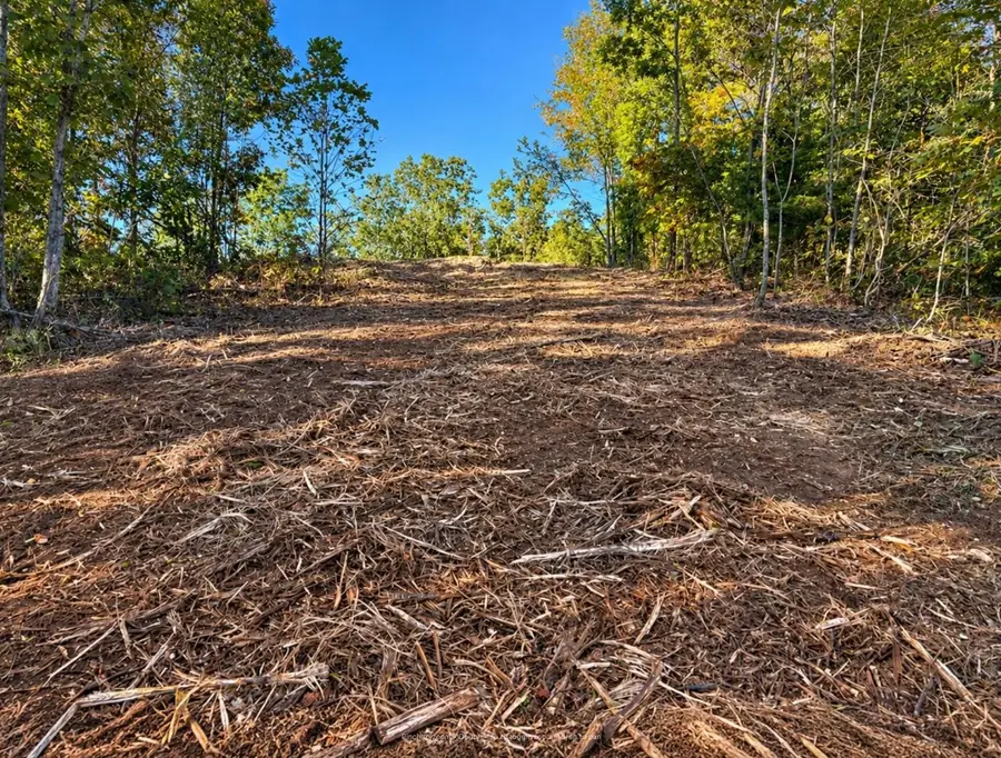 320 Wildflower Ln, Linden, TN 37096 - #2