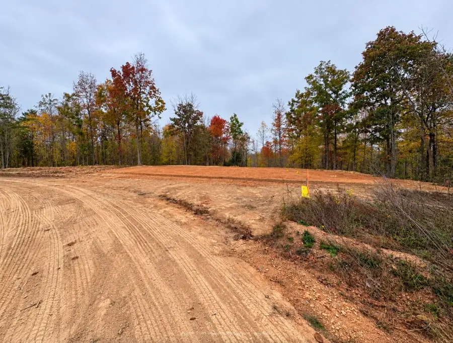 320 Wildflower Ln, Linden, TN 37096 - #3