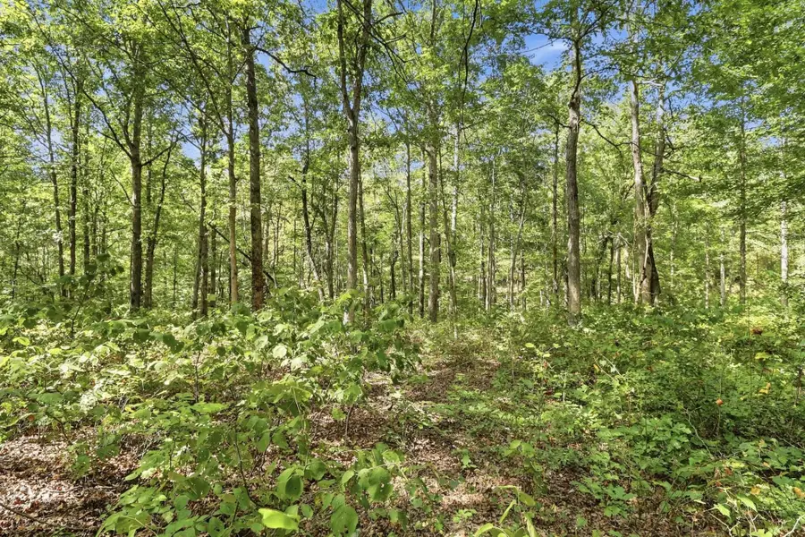 845 Ridgewood Drive, Mc Ewen, TN 37101 - #3