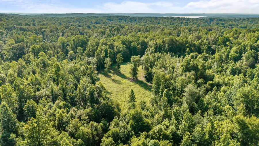0 Hamilton Rd, Springville, TN 38256 - #2