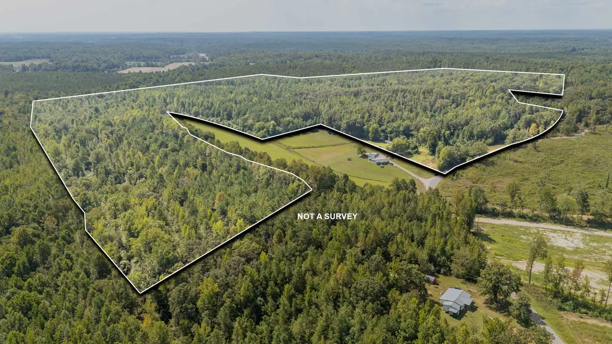 5887 Beauty Hill Rd, Adamsville, TN 38310 - #1