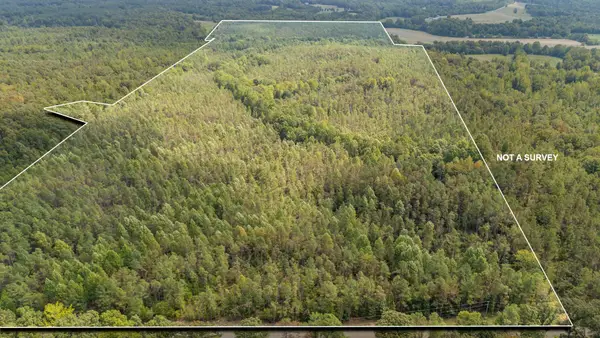 0 Terry Hair Rd, Adamsville, TN 38310