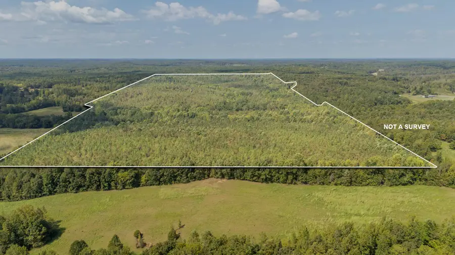 0 Terry Hair Rd, Adamsville, TN 38310 - #2