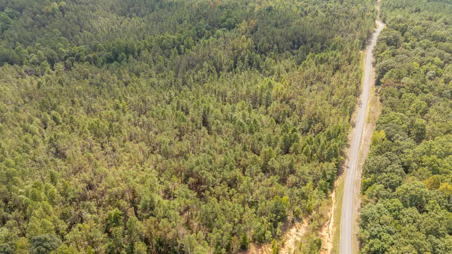 0 Terry Hair Rd, Adamsville, TN 38310 - #3