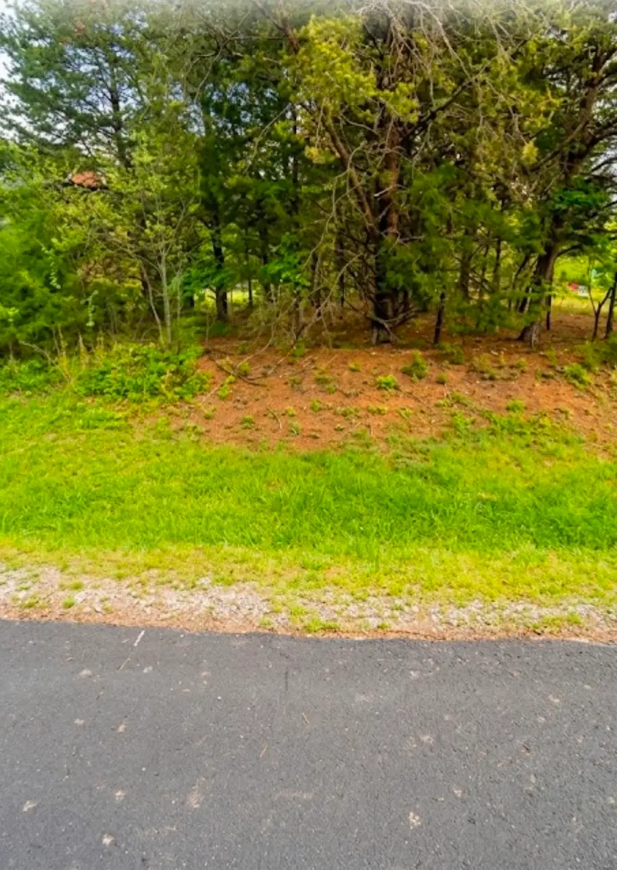 1 Gohi Trl, Vonore, TN 37885 - #3