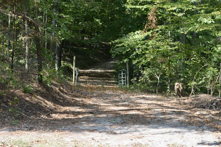 0 Mayes Rd, Kingston Springs, TN 37082 - #3