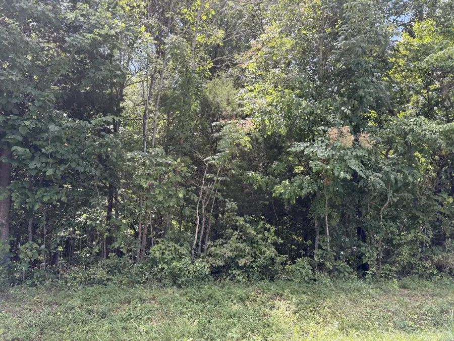 0 Southside Rd, Southside, TN 37171 - #2