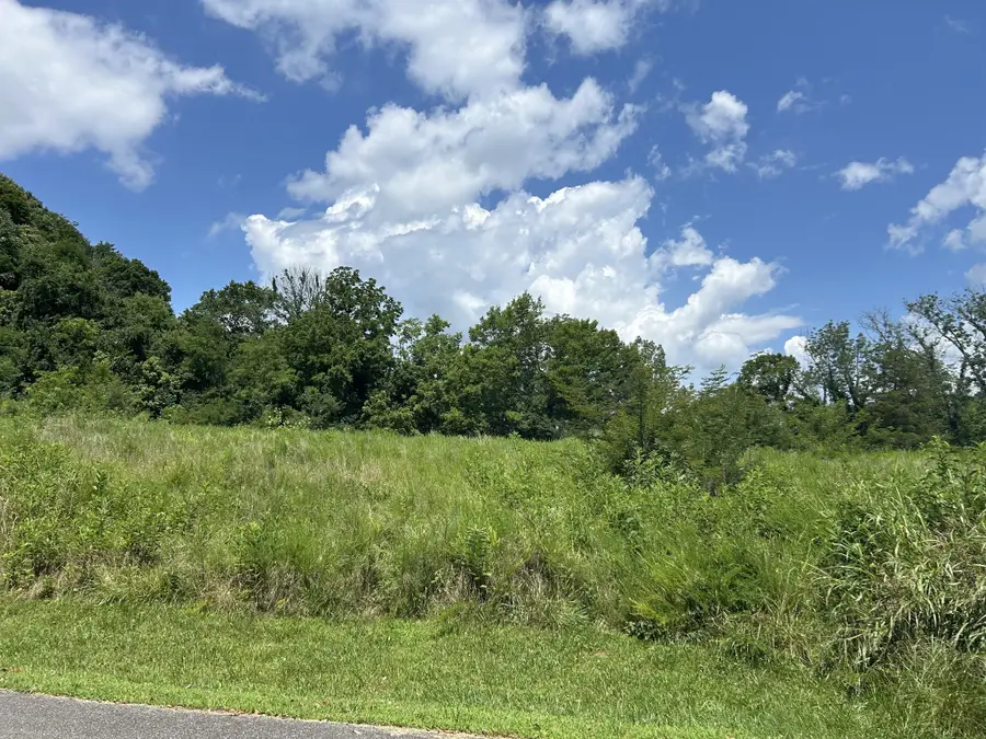 102 Rutherford Ln, Smithville, TN 37166 - #2