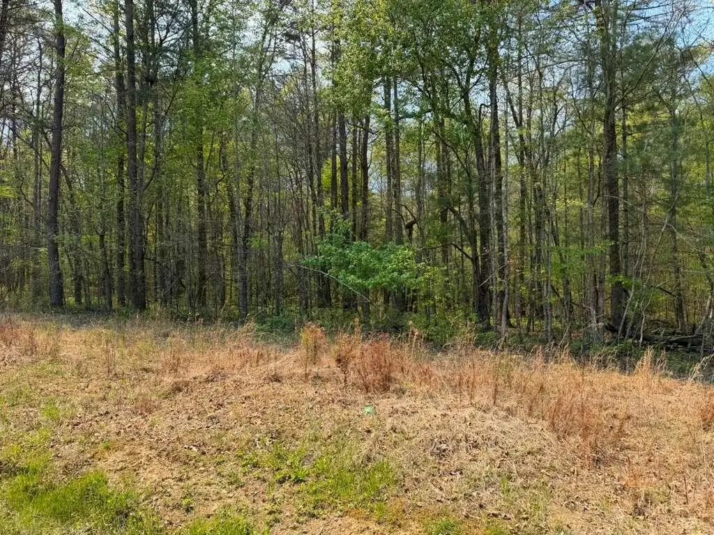 0 Ironsburg Road, Tellico Plains, TN 37385 - #1