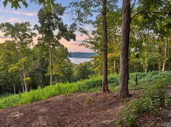 0 Lake Meadow Dr, Smithville, TN 37166