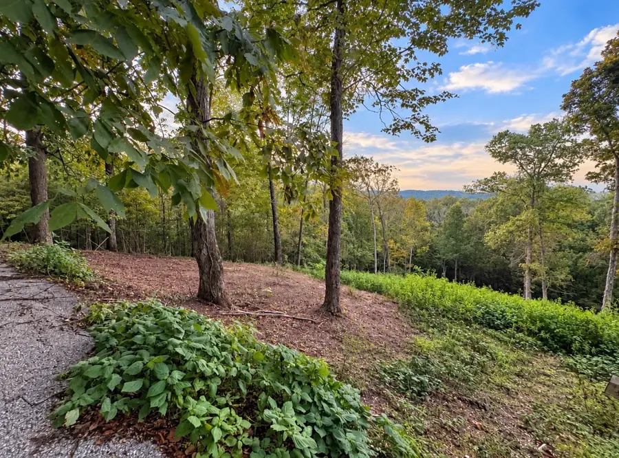 0 Lake Meadow Dr, Smithville, TN 37166 - #3