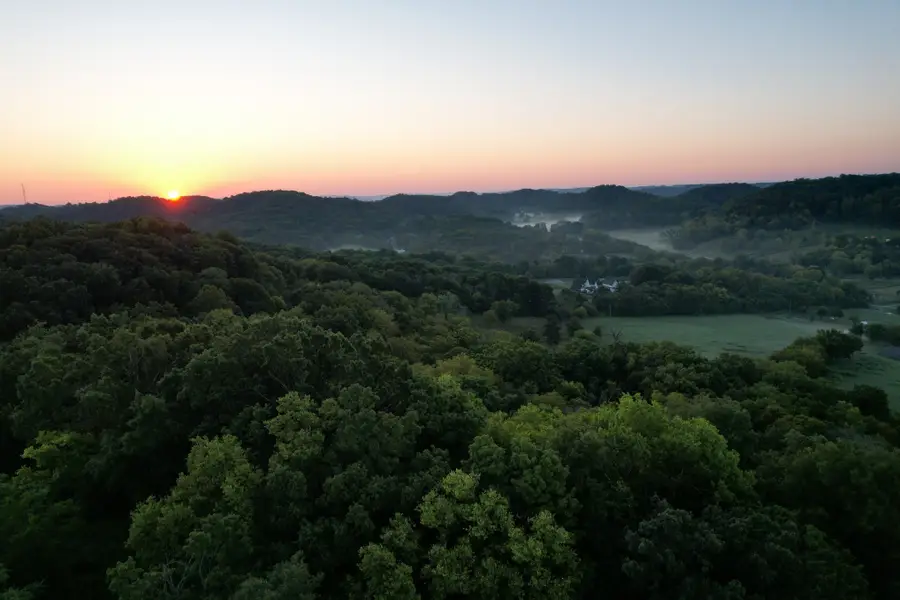1952 Carters Creek Pike, Franklin, TN 37064 - #3