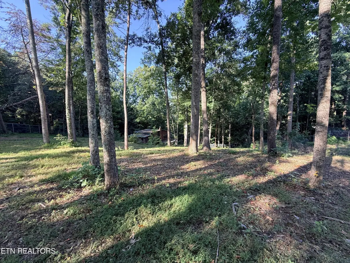1465 Hickory Star Rd, Maynardville, TN 37807 - #1