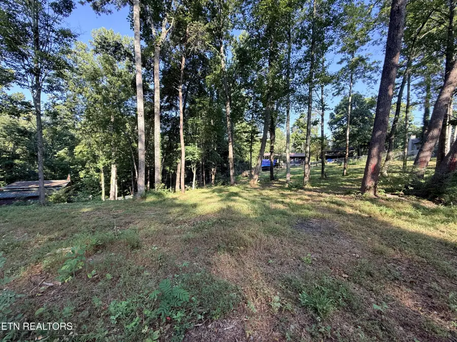 1465 Hickory Star Rd, Maynardville, TN 37807 - #2