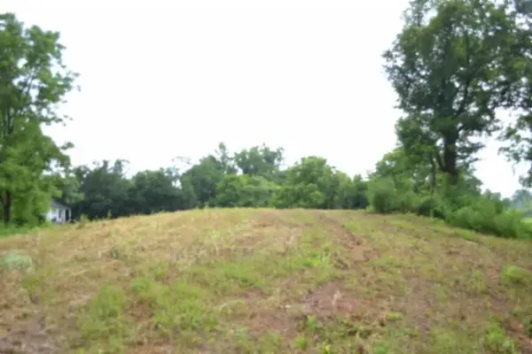 2390 Pea Ridge Fire Town Rd, Celina, TN 38551