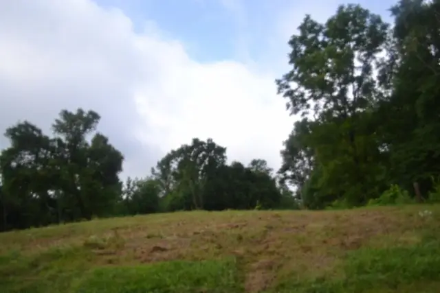 2390 Pea Ridge Fire Town Rd, Celina, TN 38551 - #2
