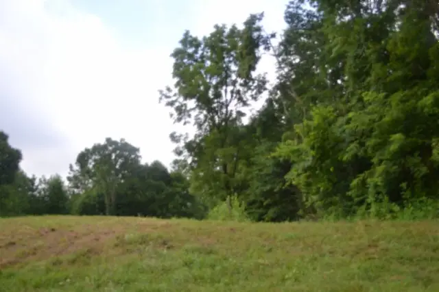 2390 Pea Ridge Fire Town Rd, Celina, TN 38551 - #3