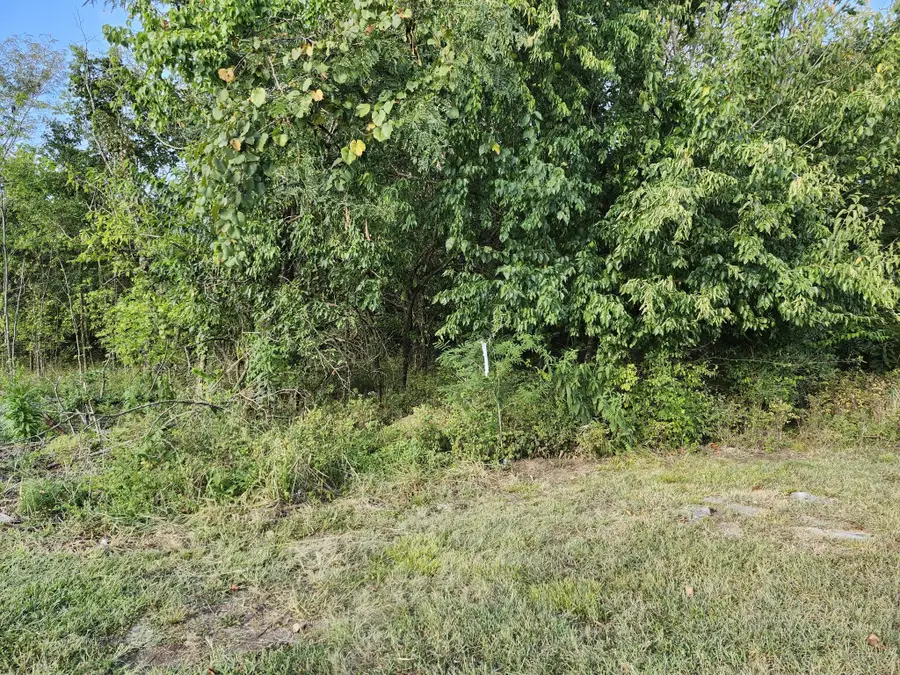 683 Battle Rd, Nolensville, TN 37135 - #2