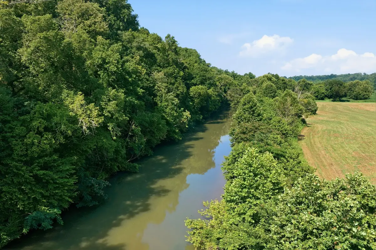 8167 Primm Springs Rd, Primm Springs, TN 38476 - #1
