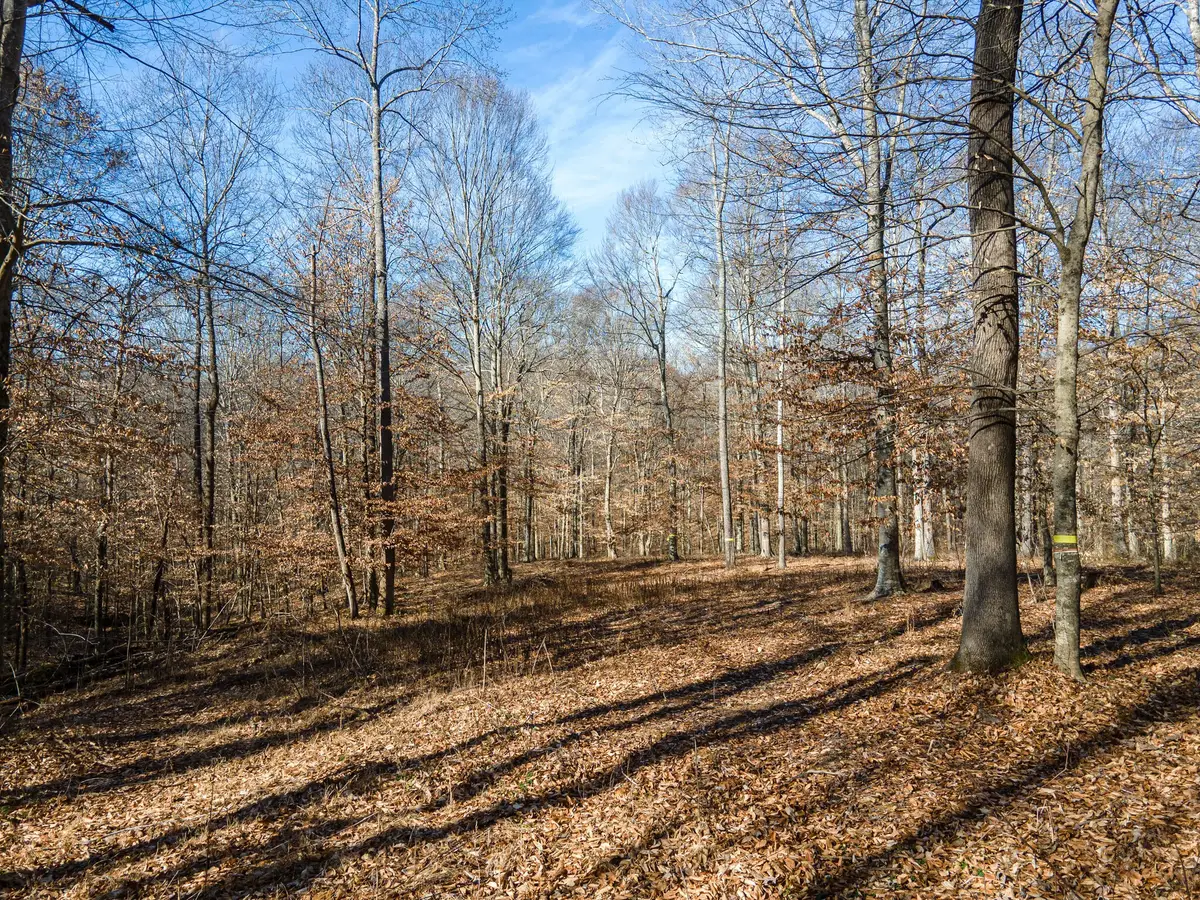 0 Highway 49, Ashland City, TN 37015 - #1