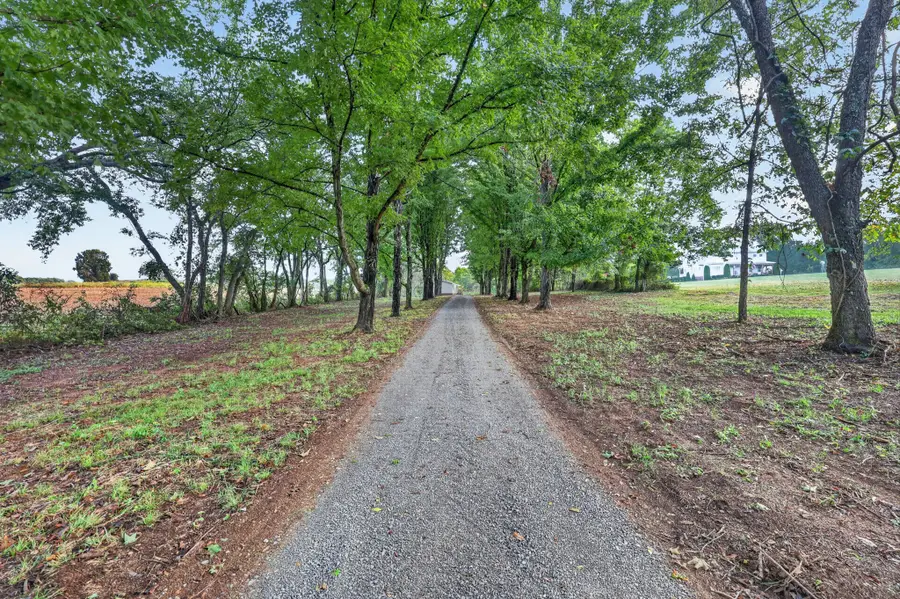 310 Carter Ln, Castalian Springs, TN 37031 - #3