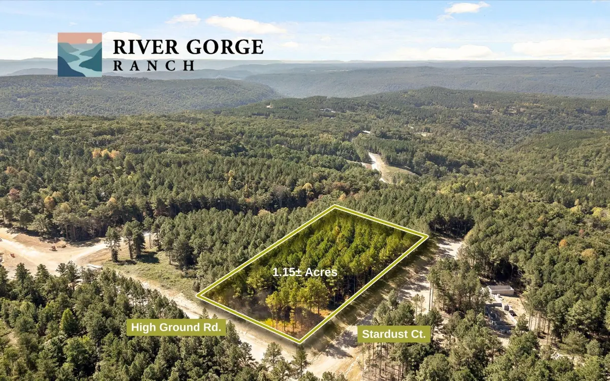 2002 Stardust Court, Guild, TN 37340 - #1