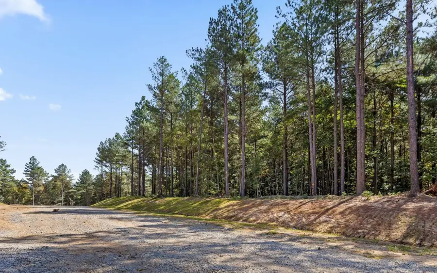 2002 Stardust Court, Guild, TN 37340 - #2
