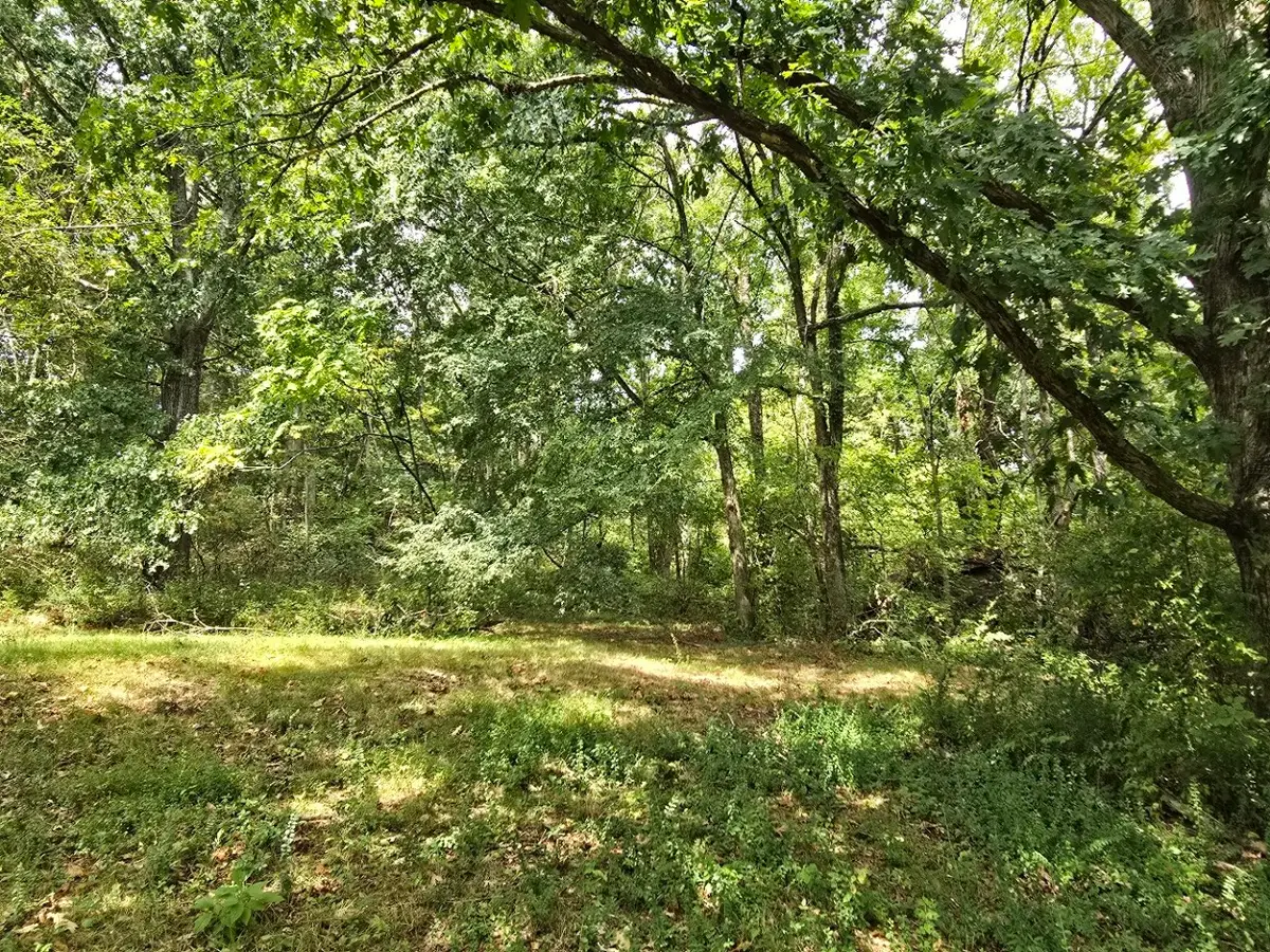119 Old Dobbins Pike, Gallatin, TN 37066 - #1