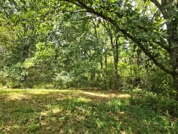 119 Old Dobbins Pike, Gallatin, TN 37066