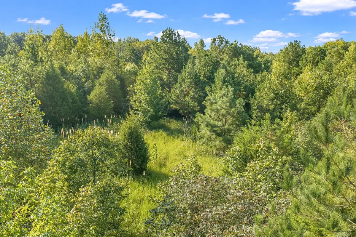 0 Horny Head Creek Rd, Parsons, TN 38363 - #1