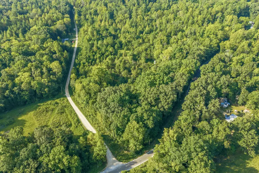 0 Horny Head Creek Rd, Parsons, TN 38363 - #2