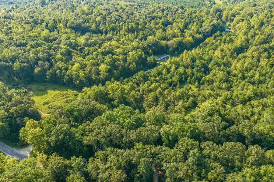 0 Horny Head Creek Rd, Parsons, TN 38363 - #3