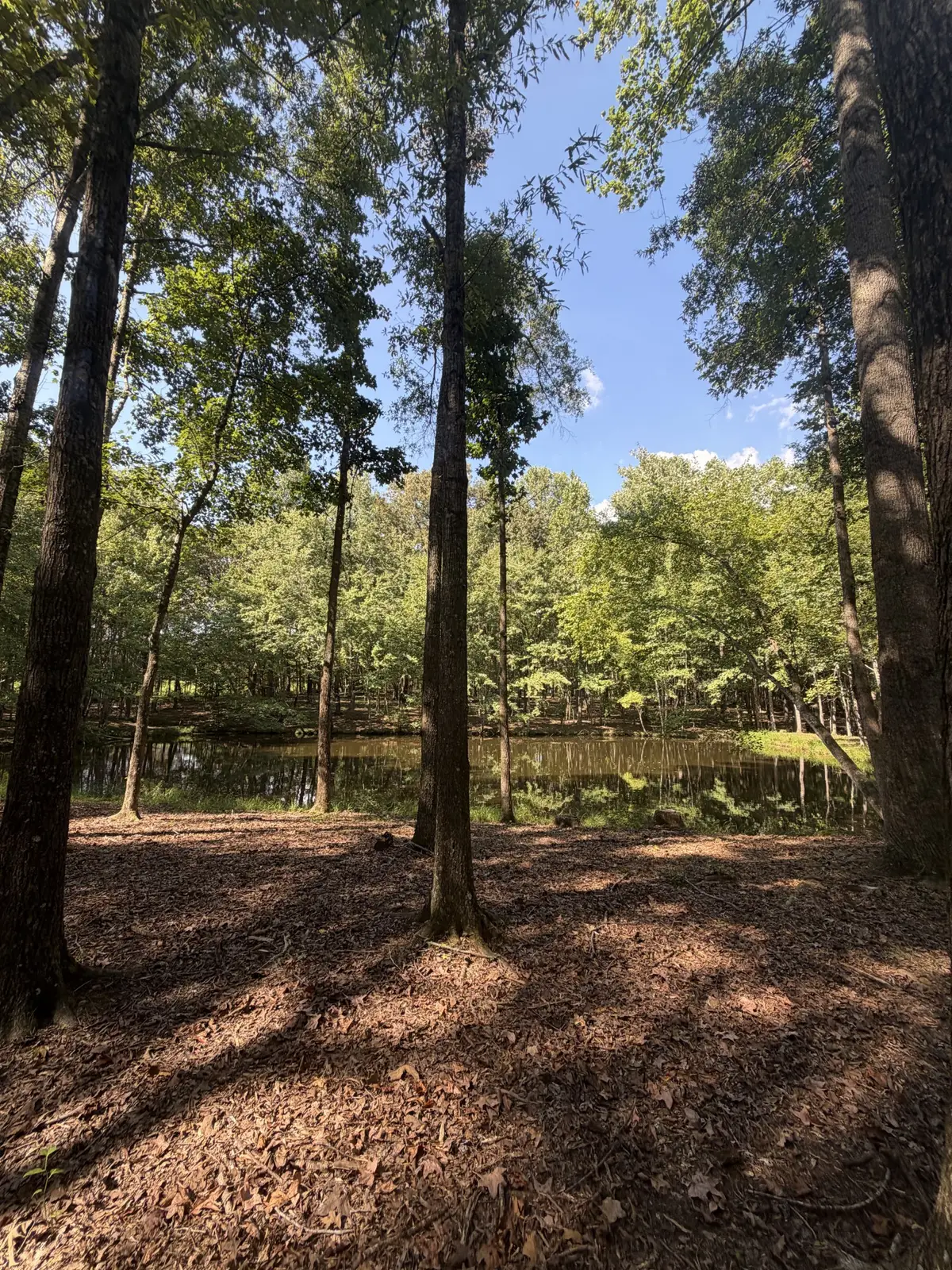 0 Lakewood Park Dr, Beechgrove, TN 37018 - #1