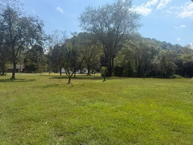 1006 Deerfoot Dr, Pegram, TN 37143 - #2