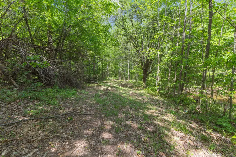 671 Poplar Ridge Rd, Chapmansboro, TN 37035 - #2