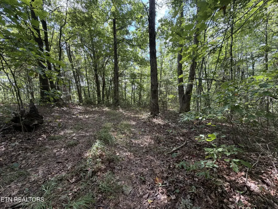 361 Long View Lane, Jamestown, TN 38556 - #2