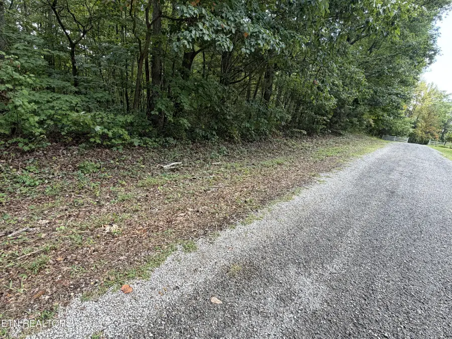 361 Long View Lane, Jamestown, TN 38556 - #3