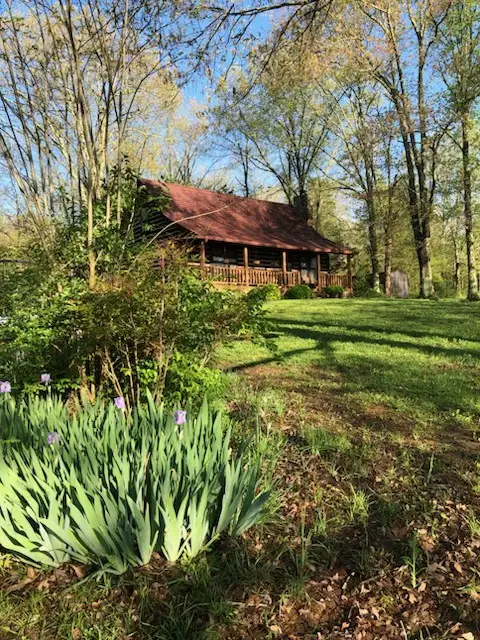 4383 Arno Rd, Franklin, TN 37064 - #1