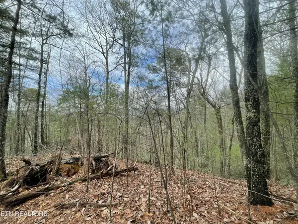 0 Walnut Flats Rd, Walland, TN 37886
