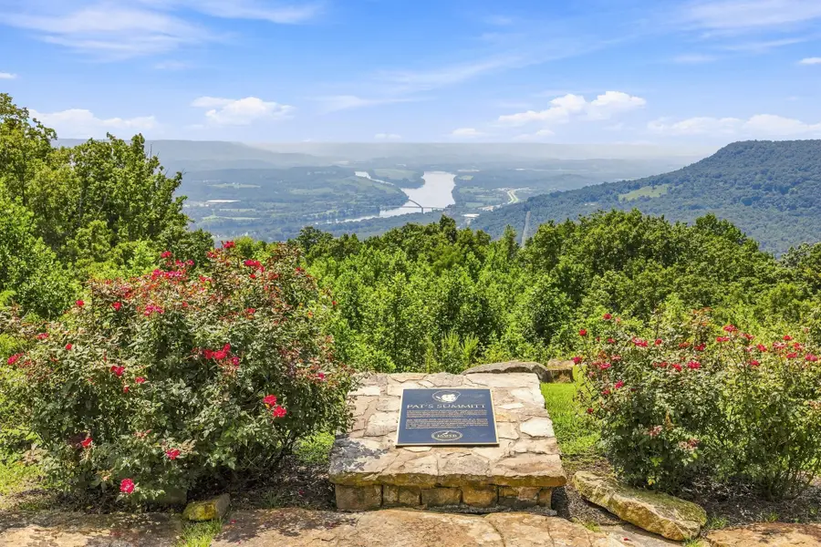2500 Raulston Falls Rd, Jasper, TN 37347 - #3