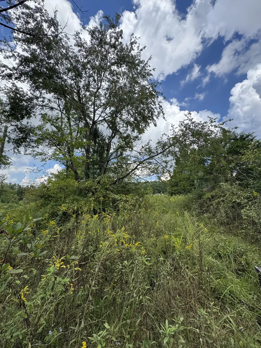 230 Running Meadows Rd, Portland, TN 37148 - #3