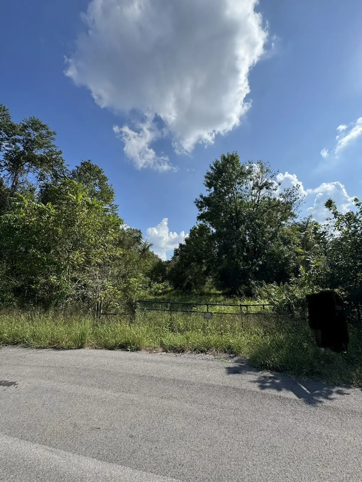 216 Running Meadows Rd, Portland, TN 37148 - #1