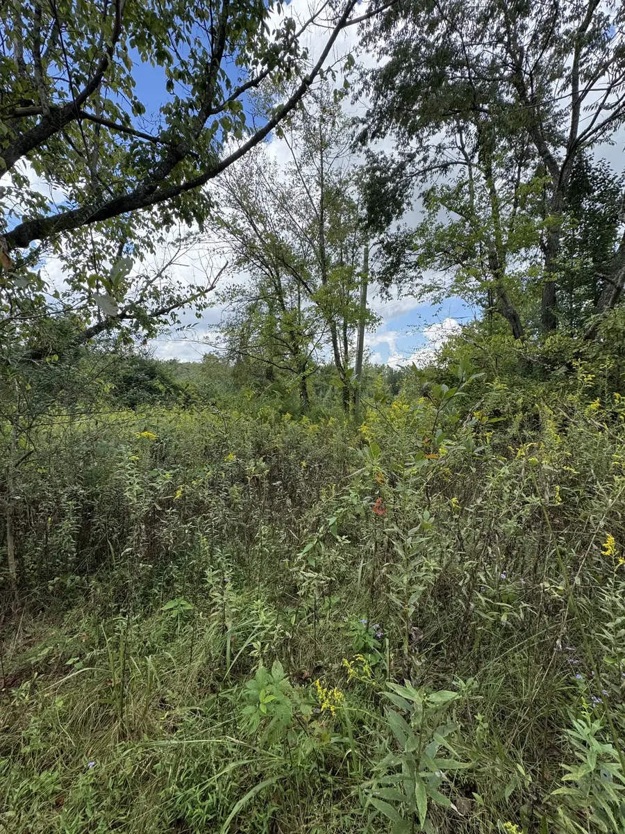 216 Running Meadows Rd, Portland, TN 37148 - #3