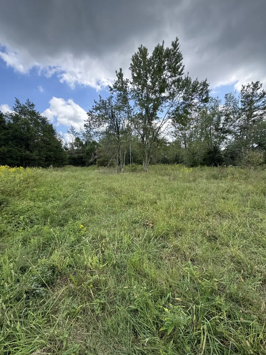 2301/2 Running Meadows Rd, Portland, TN 37148 - #3