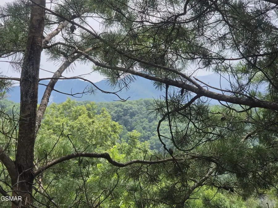1615 Misty Hollow Way #38, Gatlinburg, TN 37738 - #2